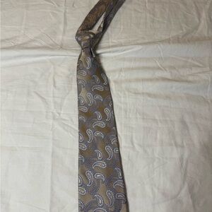 Classic Paisley Tie in Tan and Blue
